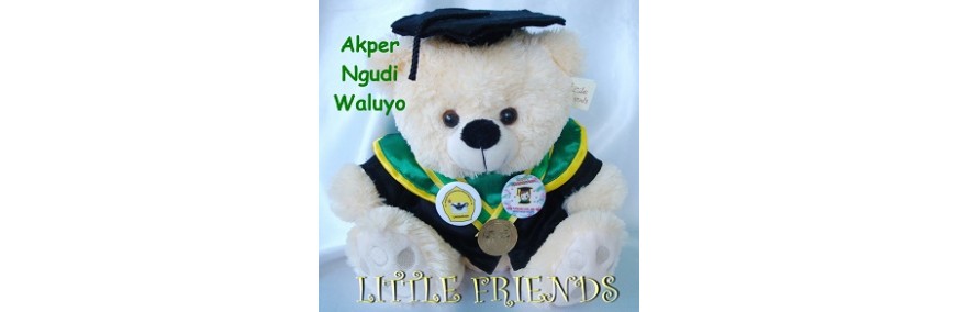 Boneka Wisuda Akademi Keperawatan Ngudi Waluyo